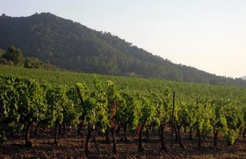 Apartaments Ca La Pauleta - Foto 12