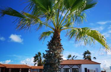 Bungalow tranquillo e soleggiato - Photo 9