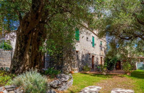 Pie' d'Ulivo - Foto 58