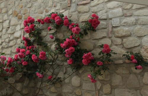 Chiesa Ignano 1778 - Photo 67