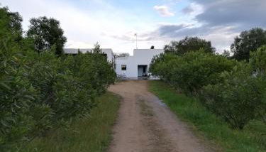 Casa do Vale da Terra Negra - Foto 3