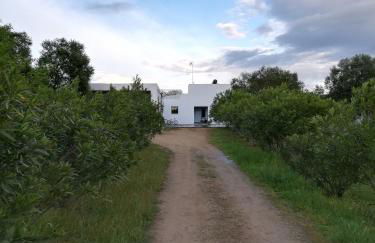 Casa do Vale da Terra Negra - Foto 3