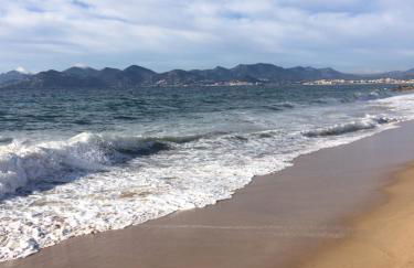 Appartement Cosy Calme Central-Terrasse Proche Palais - Foto 52