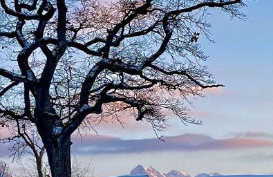 Fewo Längerer - Foto 21