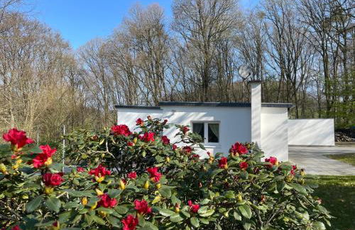 Dhünntalsperre Ferienhaus Urlaub in schönster Natur - Foto 1