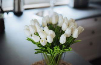 Rostocker Stadtidyll - Foto 26