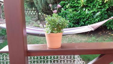 Ferienwohnung Bodensee - Foto 5, Garden