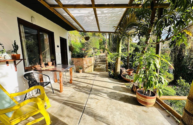 ecohotel zona 7 - Foto 52