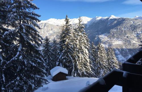 Superbe vue, accès skis aux pieds, très agréable - Foto 12