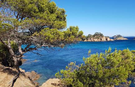 Rez de Jardin T3 recent et calme au Nouvelles Terres à La Londe les Maures - Foto 28