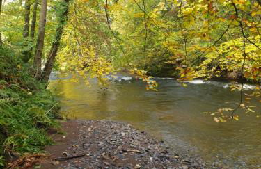 The Old Mill Cottage - Foto 59