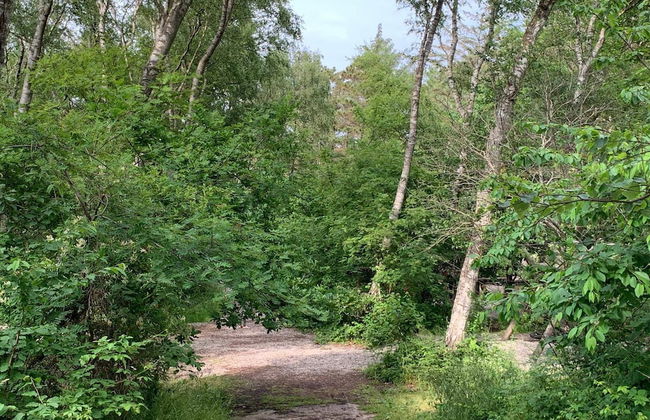 12 Person Holiday Home in Hundested - Foto 21