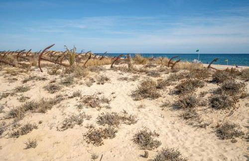 Apartamento 157, Pedras d’el Rei - Foto 50