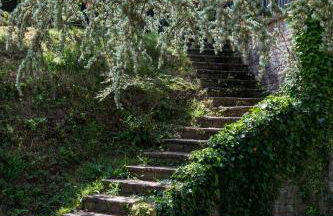 Les Planes de Viladrau - Foto 44