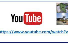 Villa das Palmeiras - Foto 3