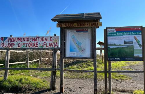 La casetta di Francesco - Relax - Mare - Treno 20' Roma - Foto 16