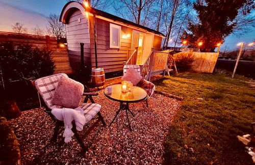 Whiskers and Woods Shepherd Hut - Foto 1