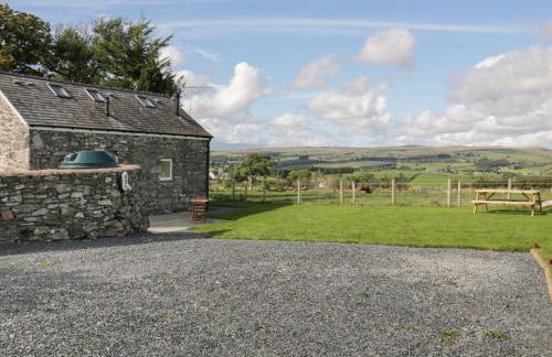 Bryn Dedwydd Cottage - Photo 20