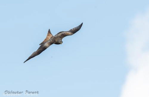 Haus Schönblick - Foto 35