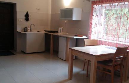 Agroturystyka Pod Klonem - Foto 53