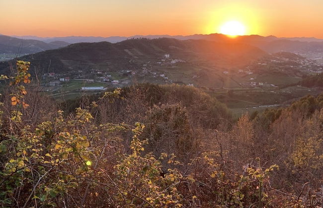 Florenc's Apartment - Foto 34