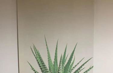 Das Schatzgräberhaus im Herzen von Bamberg. - Photo 40