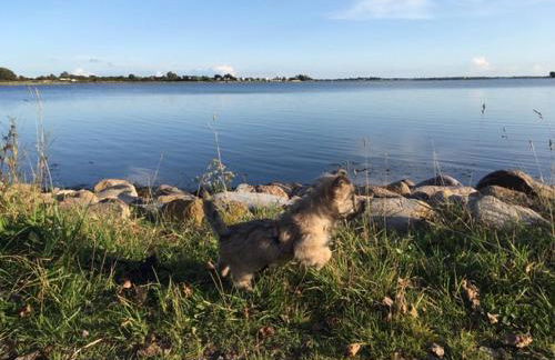 Zur Mühle Lemkenhafen auf Fehmarn - Foto 38