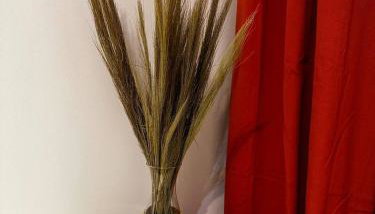 Apartament Centrum, miejsce parkingowe w cenie - Foto 5