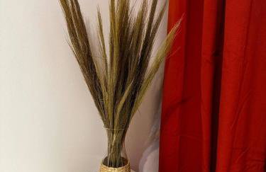 Apartament Centrum, miejsce parkingowe w cenie - Foto 5