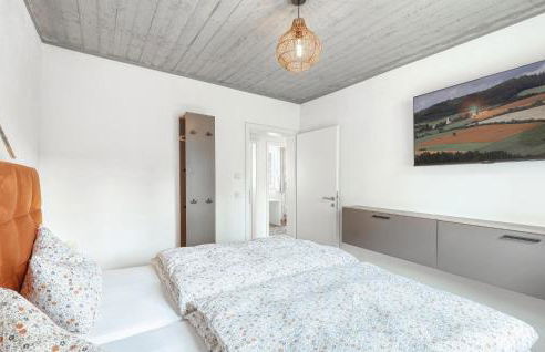 Admiral Vanessa - Foto 26