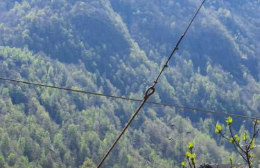 Coccinella House - Foto 36