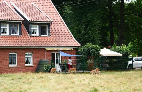 Ferienhaus "Zur Alten Fähre" - Foto 9