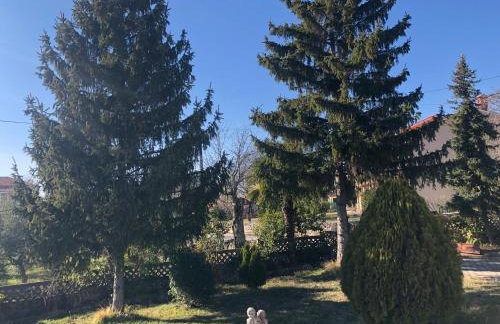 Villa Ljubica with big beautiful garden - Foto 7