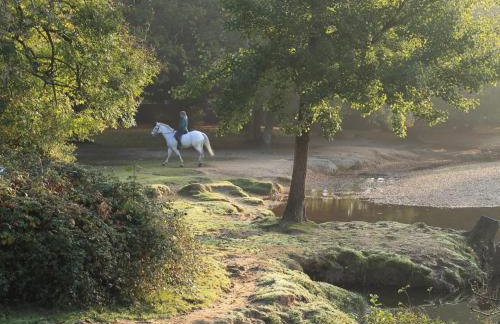 Charming Dorset Seaside Escape - Foto 23