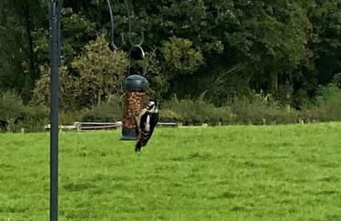 Courtyard Cottage - Photo 9