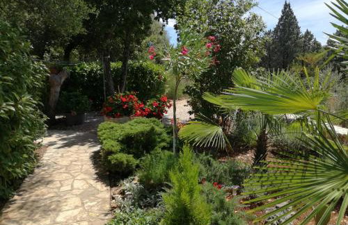 Apartments Barbara - Photo 42