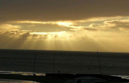 Entre dune et plage Les Jacquets Cap Ferret - Foto 17
