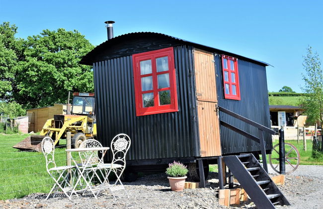 Meadow Shepherds hut - Photo 21