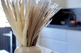 Luxuriös & Sehr Zentral in Wuppertal - Foto 23