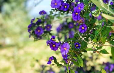 A Casa do Soito - Foto 26