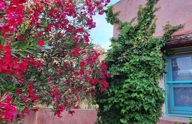 Agriturismo Agrisole - Foto 33