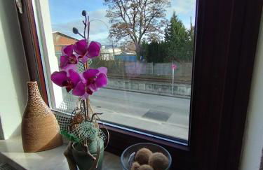 SUNNY SIDE - Foto 12