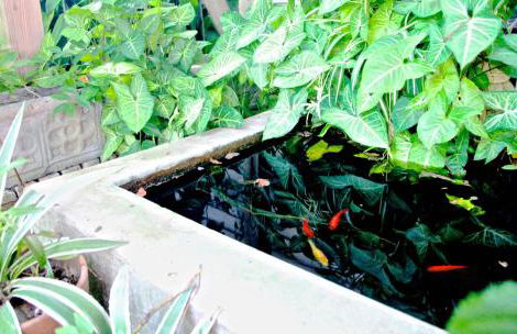 Refuge in the Heart of Montrose - Photo 15