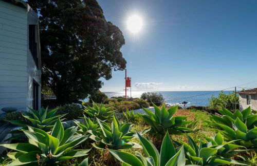 T2 Lux Casa das Pereiras - Photo 6