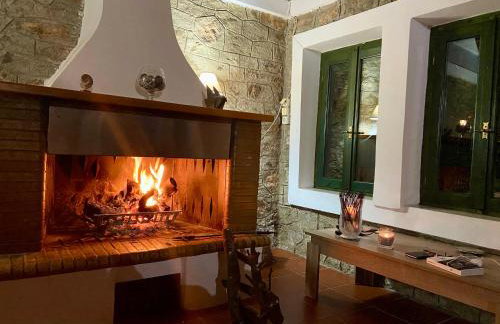 Citrus garden - Photo 49