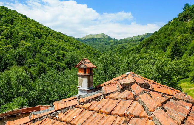 Holiday Home in Pascoso Near Forest - Foto 36