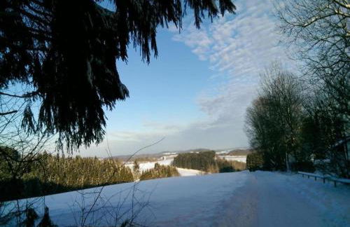 Holiday Home in Lissendorf by Forest - Foto 73