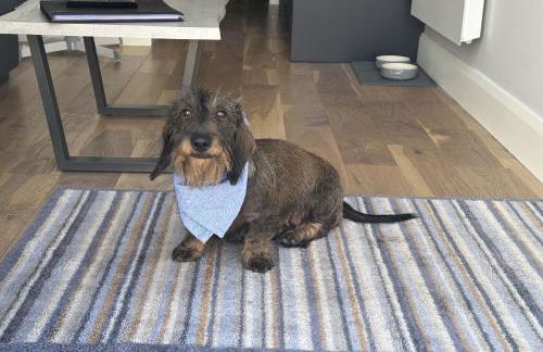 Lincoln Floating Holidays - Foto 9