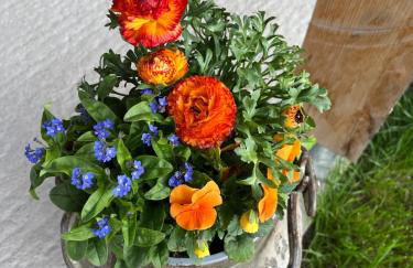 Neue moderne Ferienwohnung mit Infrarot Sauna und großen Garten - Foto 12