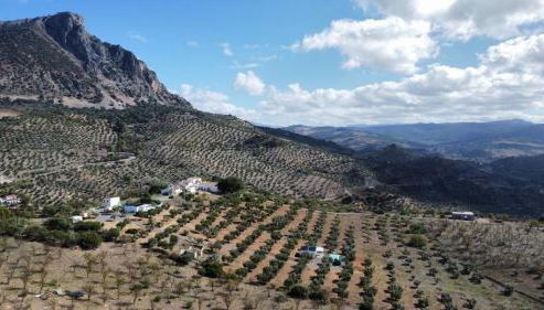 La Cordillera 1 - Foto 5